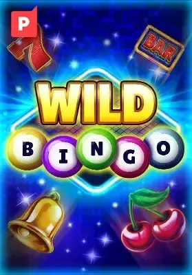 1-p-WildBingo